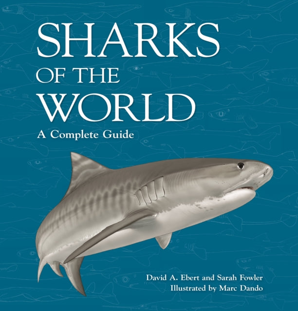 Book cover of: Sharks of the World. By: David A. Ebert