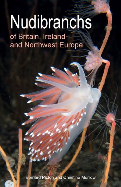 Book cover of: Nudibranchs of Britain, Ireland and Northwest Europe. By: Bernard Picton