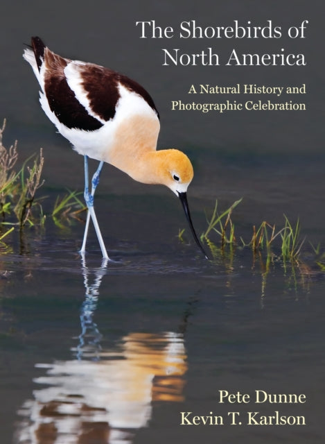 Book cover of: Shorebirds of North America. By: Pete Dunne