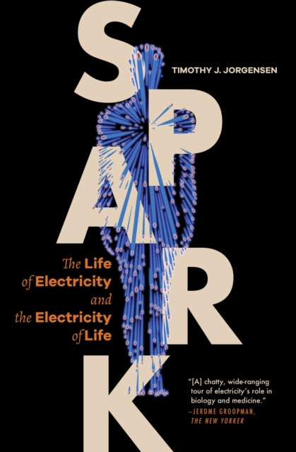 Book cover of: Spark. By: Timothy J. Jorgensen