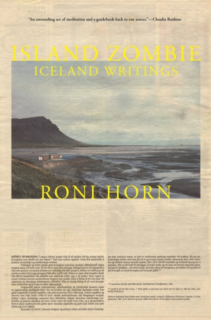 Island Zombie, Iceland Writings 9780691248622 Roni Horn