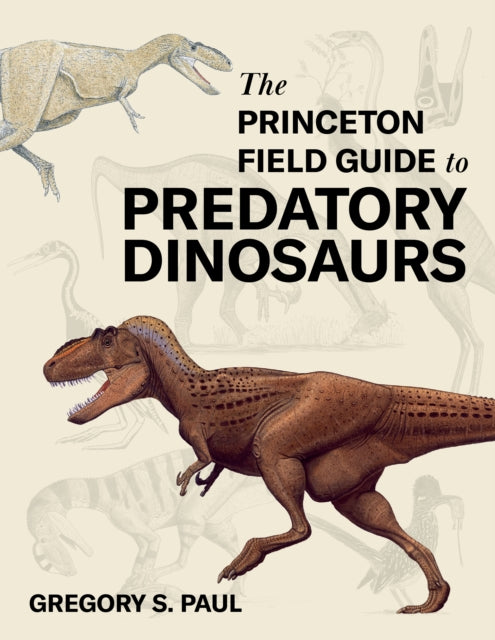 Book cover of: Princeton Field Guide to Predatory Dinosaurs. By: Gregory S. Paul