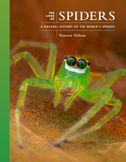 Lives of Spiders, A Natural History of the World's Spiders 9780691255026 Ximena Nelson