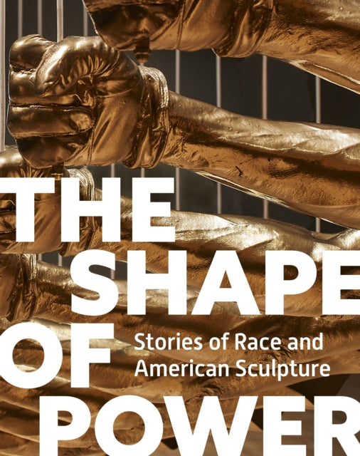 Book cover of: Shape of Power. By: Karen Lemmey