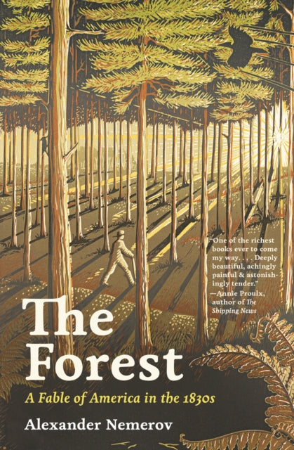 Book cover of: Forest