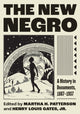 Book cover of: New Negro