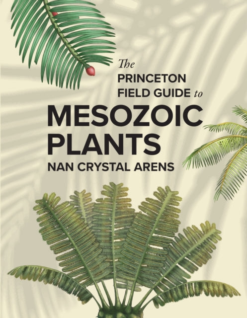 Princeton Field Guide to Mesozoic Plants 9780691272436 Nan Crystal Arens