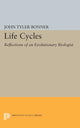 Book cover of: Life Cycles. By: John Tyler Bonner