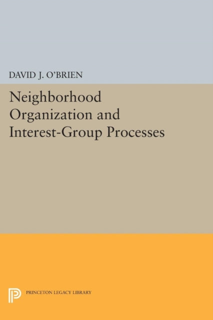 Book cover of: Neighborhood Organization and Interest-Group Processes. By: O'Brien, David J.