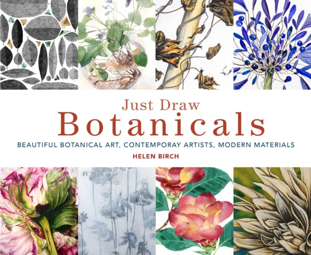 Just Draw Botanicals, Beautiful Botanical Art, Contemporary Artists, Modern Materials 9780711251328 Helen Birch