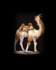 Silk Roads 9780714124971 Sue Brunning