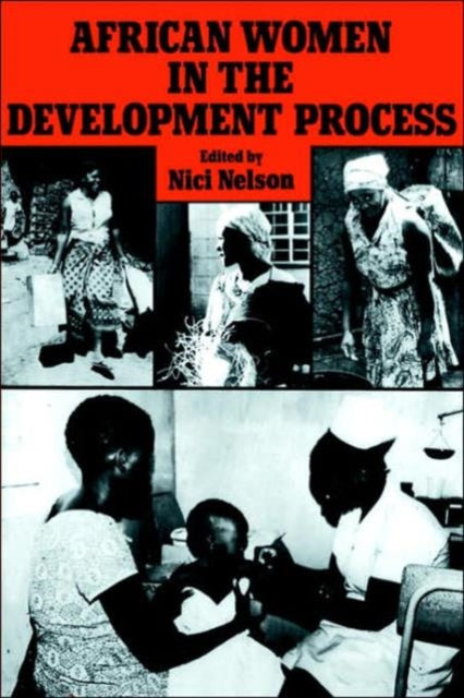 Book cover of: African Women in the Development Process