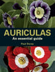 Auriculas, An Essential Guide 9780719841804 Paul Dorey