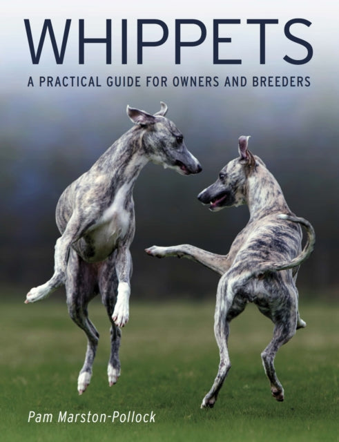 Book cover of: Whippets