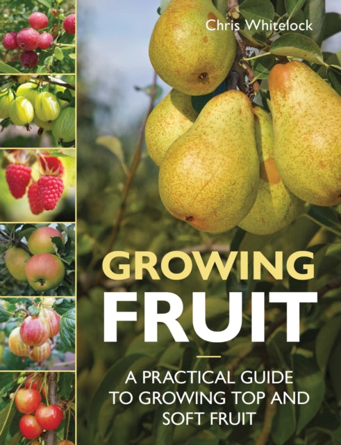 Book cover of: Growing Fruit