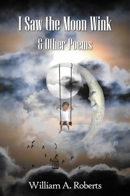 Book cover of: I Saw the Moon Wink