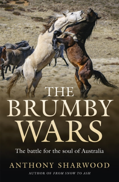 Book cover of: Brumby Wars. By: Anthony Sharwood