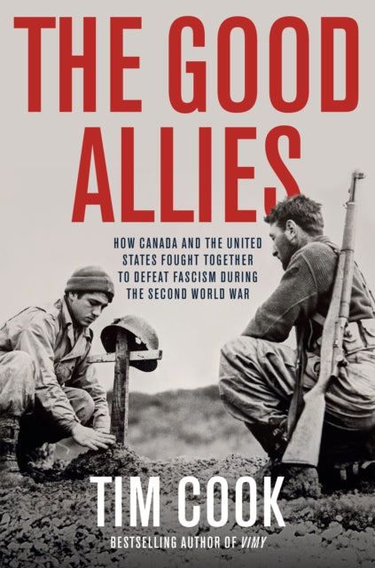 Book cover of: Good Allies