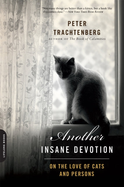 Book cover of: Another Insane Devotion. By: Peter Trachtenberg