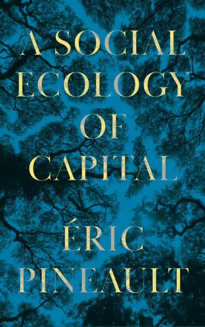 Book cover of: Social Ecology of Capital. By: Éric Pineault