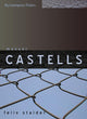 Book cover of: Manuel Castells. By: Felix Stalder