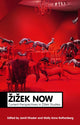 Book cover of: Zizek Now