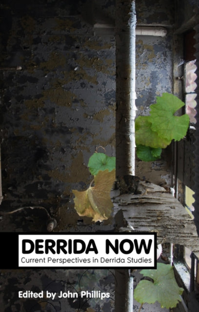 Book cover of: Derrida Now. By: John William Phillips