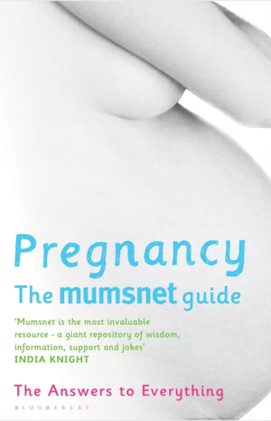 Pregnancy: The Mumsnet Guide