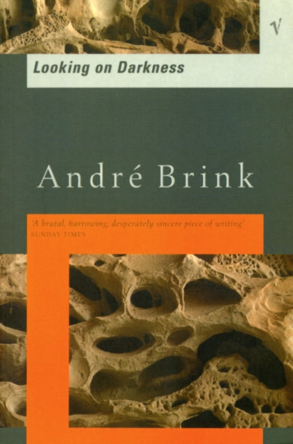 Book cover of: Looking On Darkness