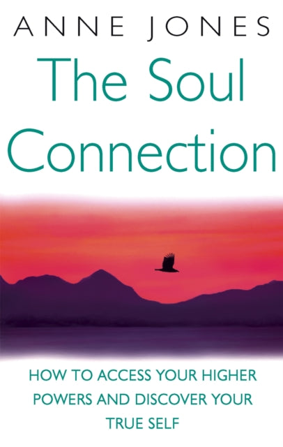 Book cover of: Soul Connection. By: Anne Jones