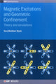 Book cover of: Magnetic Excitations and Geometric Confinement. By: WYSIN