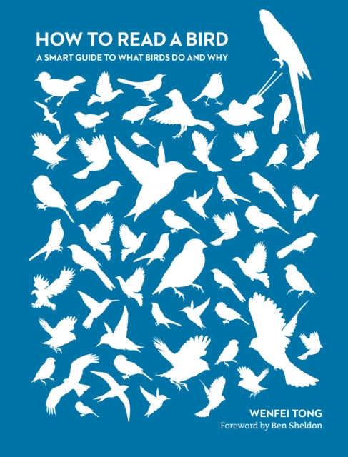 Book cover of: How to Read a Bird. By: Wenfei Tong