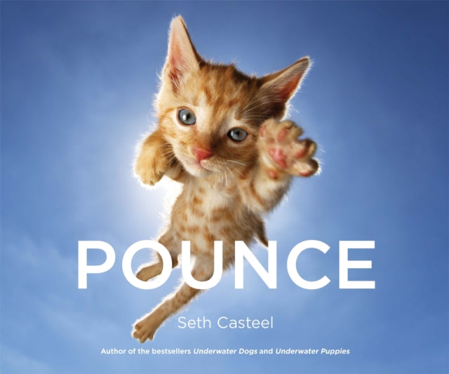 Book cover of: Pounce. By: Seth Casteel