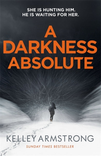 Book cover of: Darkness Absolute