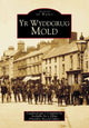 Book cover of: Mold