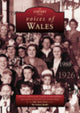 Book cover of: Welsh Voices. By: Herbert Williams