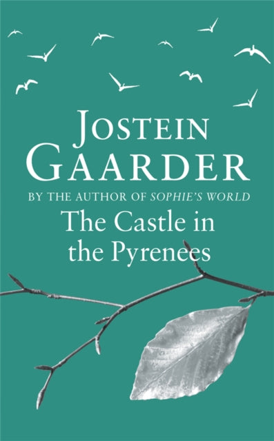 Book cover of: Castle in the Pyrenees