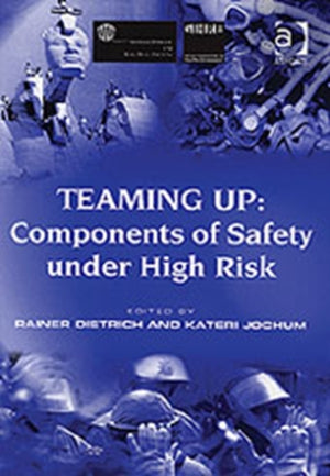 Teaming Up: Components of Safety Under High Risk
