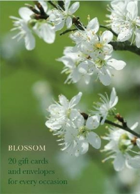Book cover of: Blossom Large Card Box