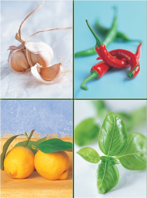 Book cover of: Set of Four Magnetic Notepads: Herbs