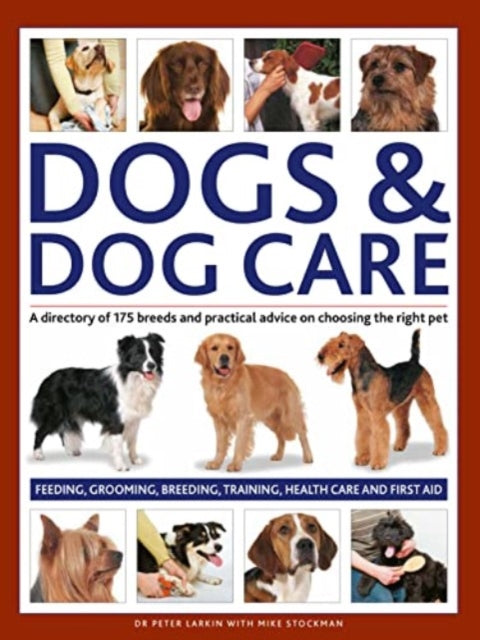 Dogs & Dog Care, A directory of 175 breeds and practical advice on choosing the right pet. Feeding, grooming, breeding, training, health care and first aid 9780754835851 Peter Larkin