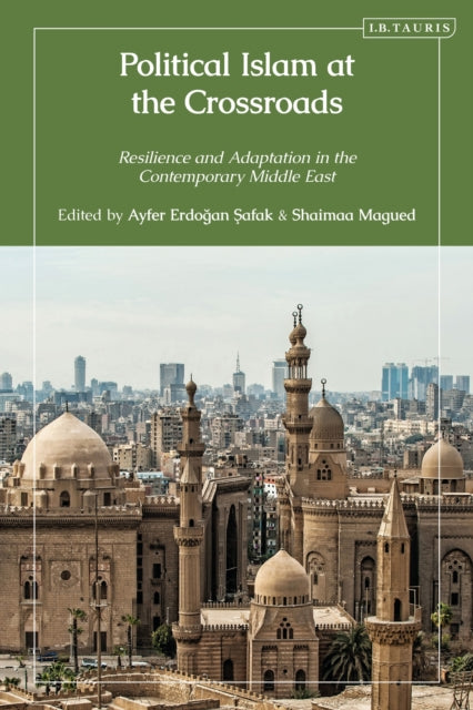 Book cover of: Political Islam at the Crossroads. By: Ayfer Erdogan Safak