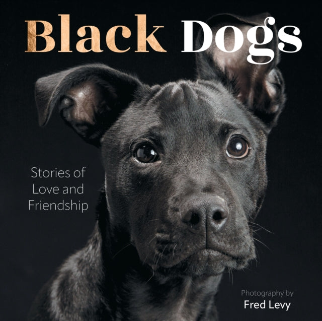 Book cover of: Black Dogs. By: Fred Levy