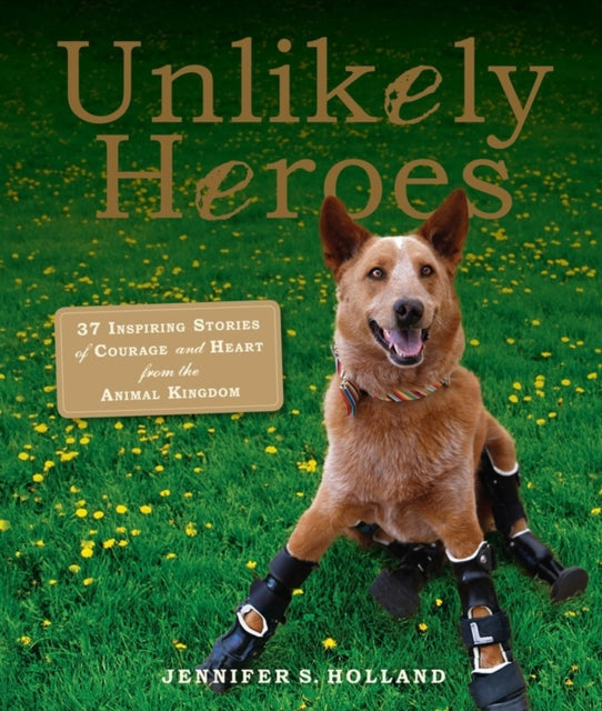 Book cover of: Unlikely Heroes. By: Jennifer S. Holland