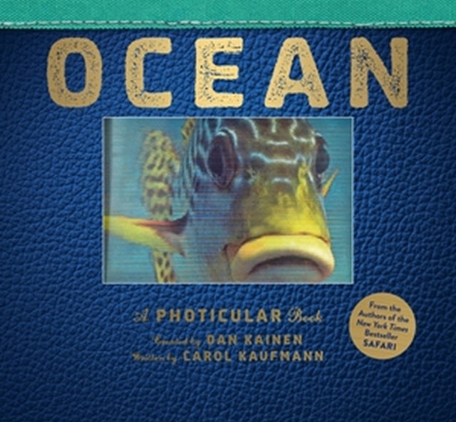 Book cover of: Ocean. By: Dan Kainen