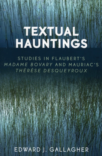 Book cover of: Textual Hauntings. By: Edward J. Gallagher