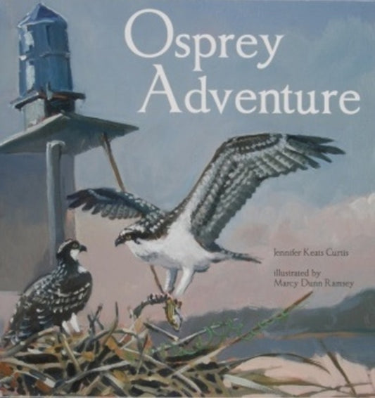Book cover of: Osprey Adventure. By: Jennifer Keats Curtis