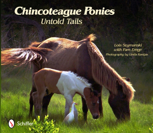 Book cover of: Chincoteague Ponies. By: Lois Szymanski