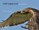 Book cover of: Wild Cape Cod. By: John & Pamela King