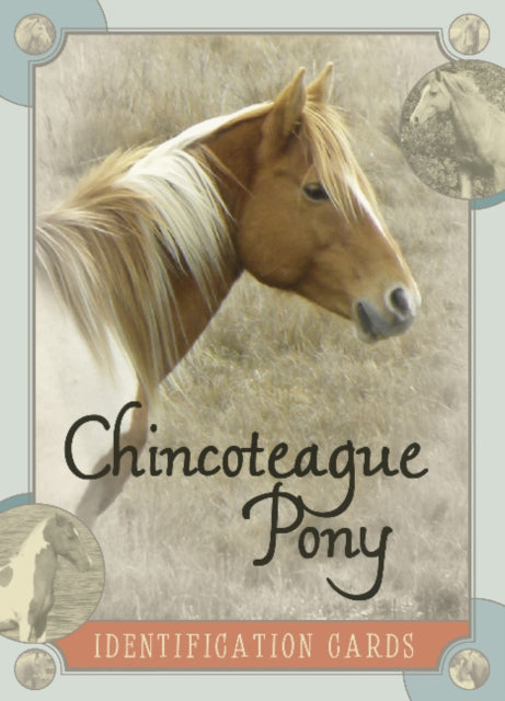 Book cover of: Chincoteague Pony Identification Cards. By: Lois Szymanski